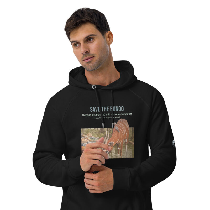Unisex eco raglan hoodie, save the bongo - Image 3