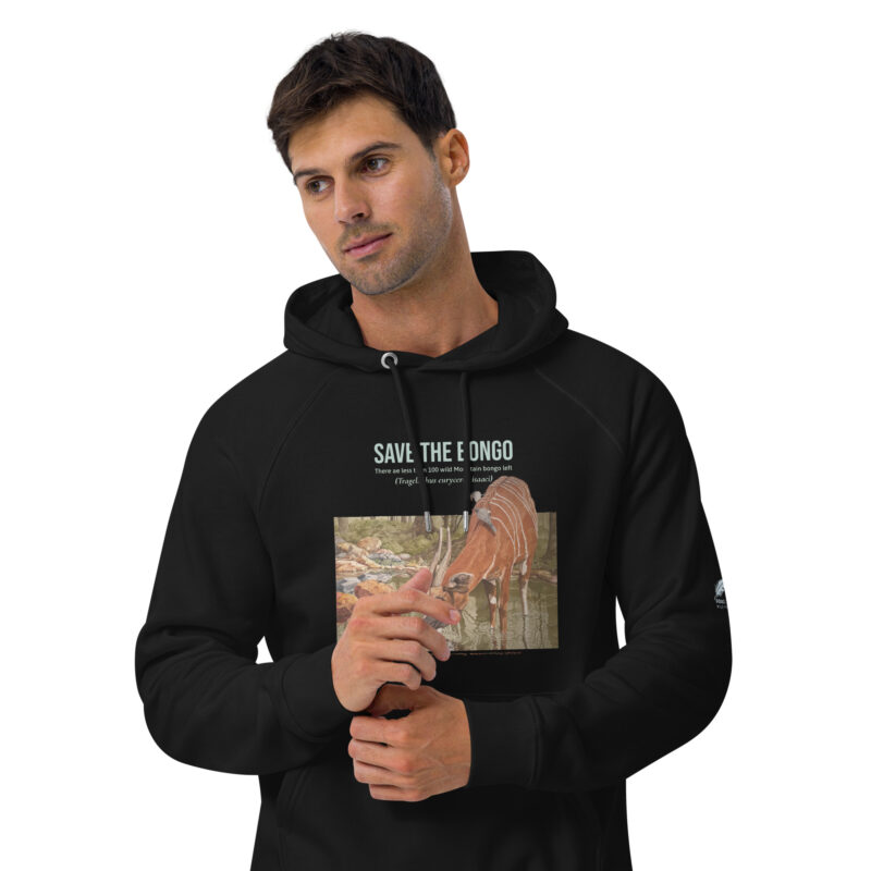 Unisex eco raglan hoodie - Image 3