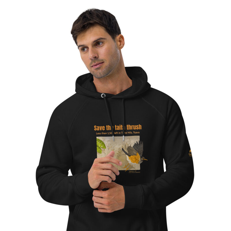 Unisex eco raglan hoodie, Save the Taita thrush - Image 3