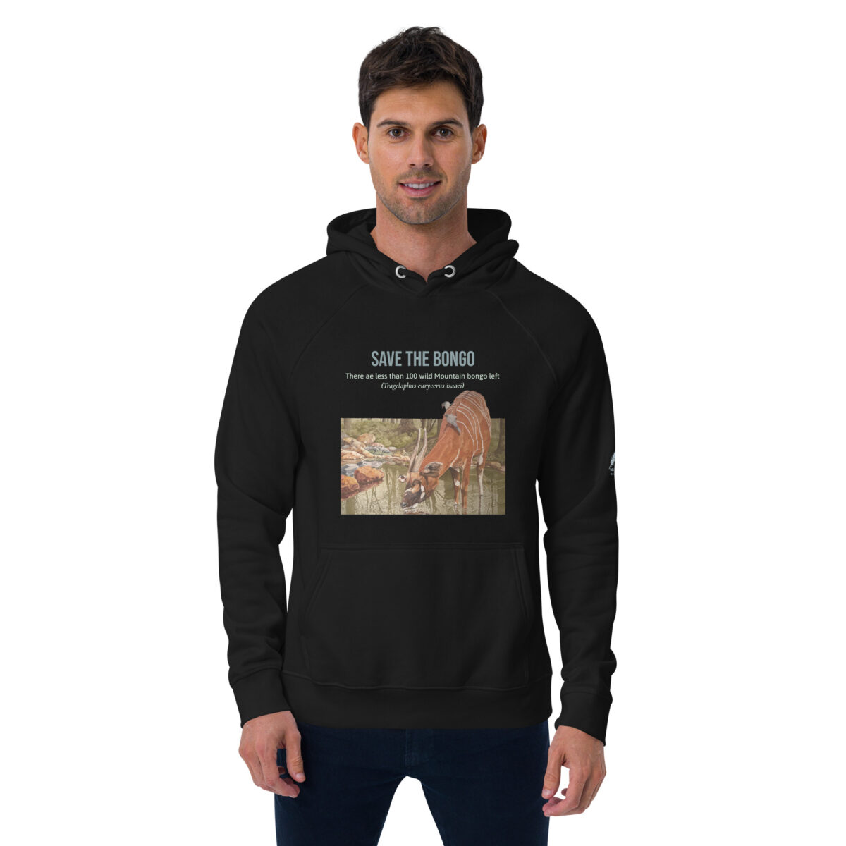 Unisex eco raglan hoodie, save the bongo