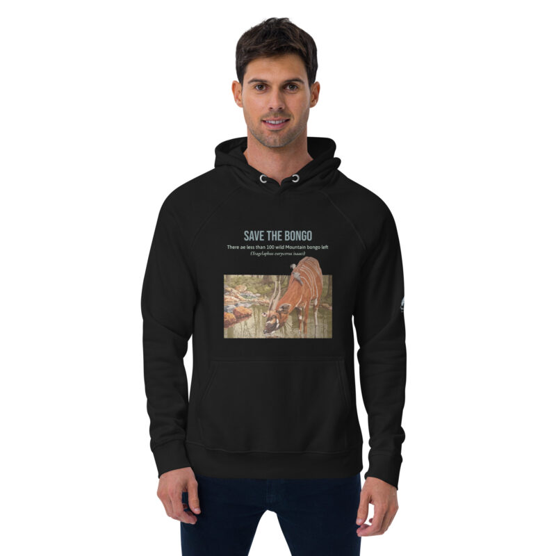 Unisex eco raglan hoodie, save the bongo