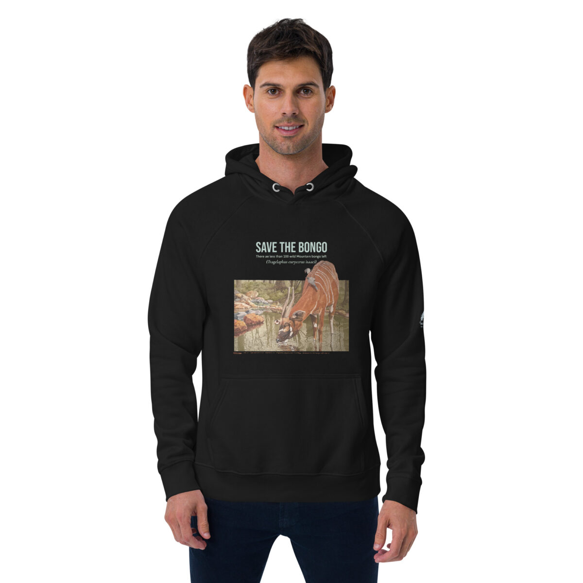 Unisex eco raglan hoodie, save the bongo