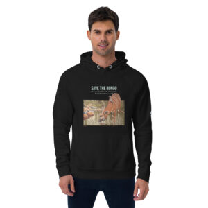 Unisex eco raglan hoodie