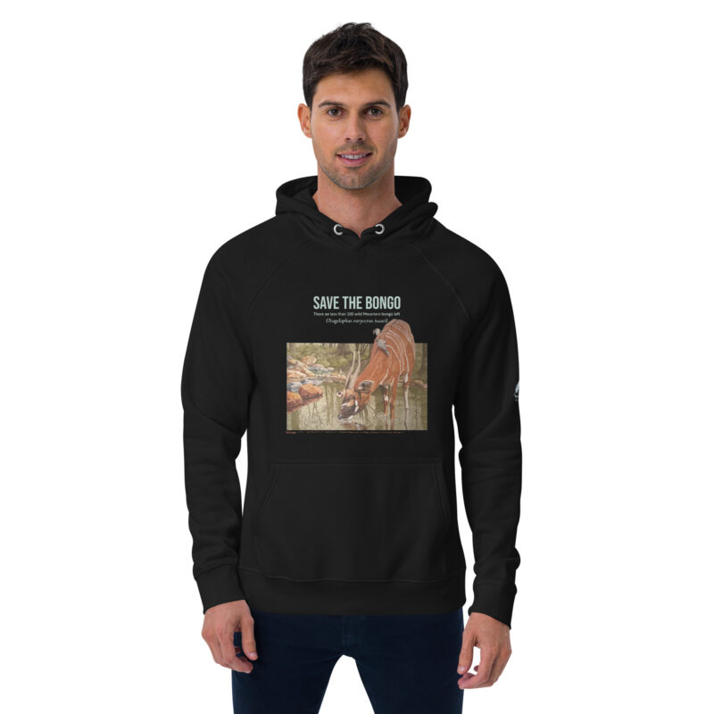 Unisex eco raglan hoodie