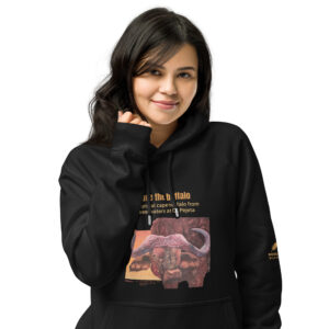 Unisex eco raglan hoodie, Save the buffalo