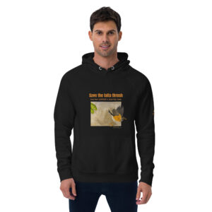 Unisex eco raglan hoodie, Save the Taita thrush