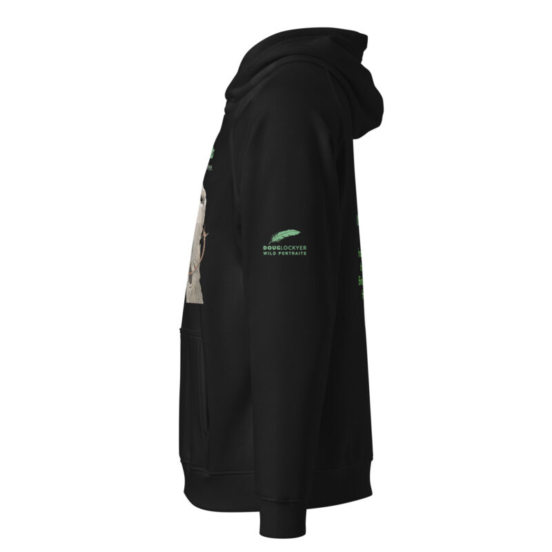 Unisex eco raglan hoodie, save New Zealand's birds (waxeye) - Image 2