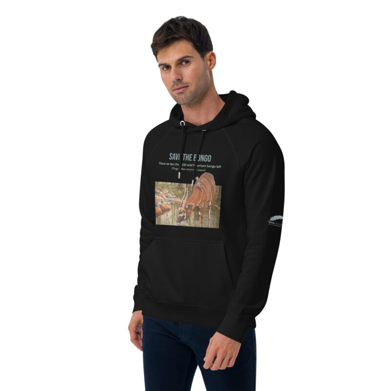 Unisex eco raglan hoodie, save the bongo - Image 7