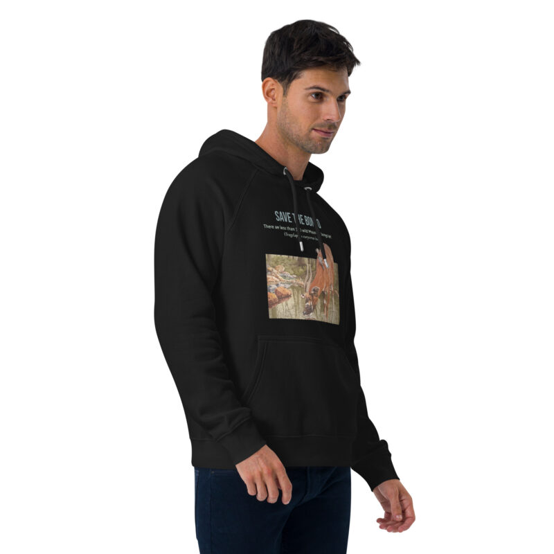 Unisex eco raglan hoodie, save the bongo - Image 9