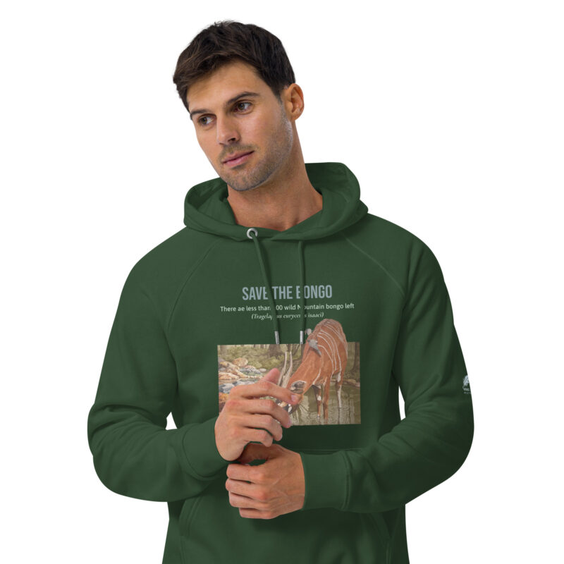 Unisex eco raglan hoodie, save the bongo - Image 21