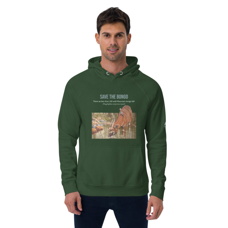 Unisex eco raglan hoodie, save the bongo - Image 19