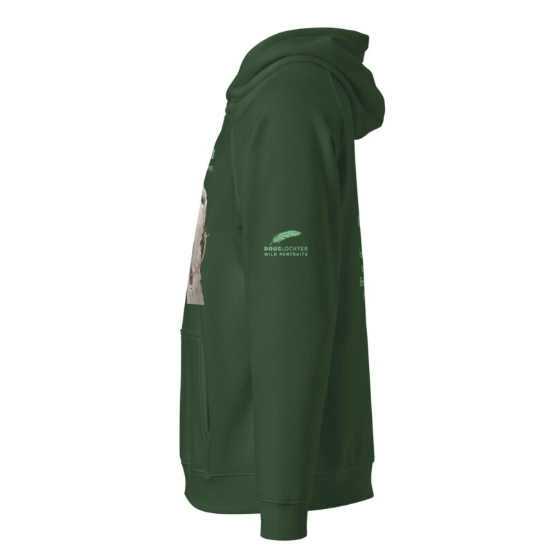 Unisex eco raglan hoodie, save New Zealand's birds (waxeye) - Image 11