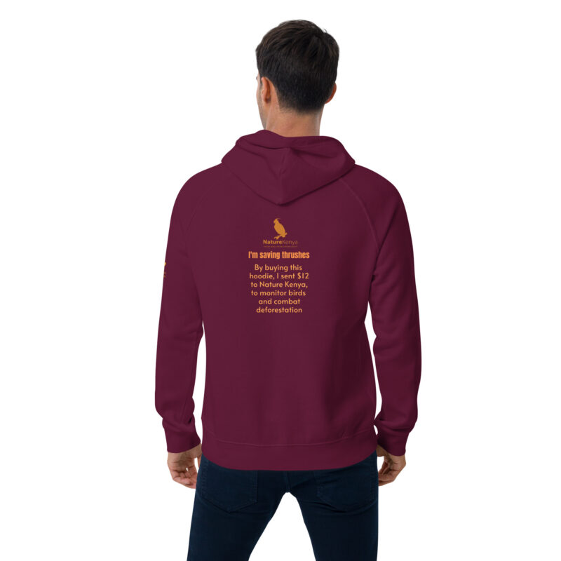 Unisex eco raglan hoodie, Save the Taita thrush - Image 14