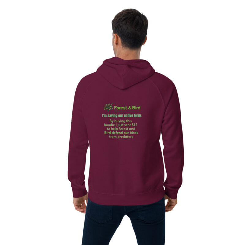 Unisex eco raglan hoodie, save New Zealand's birds (waxeye) - Image 26