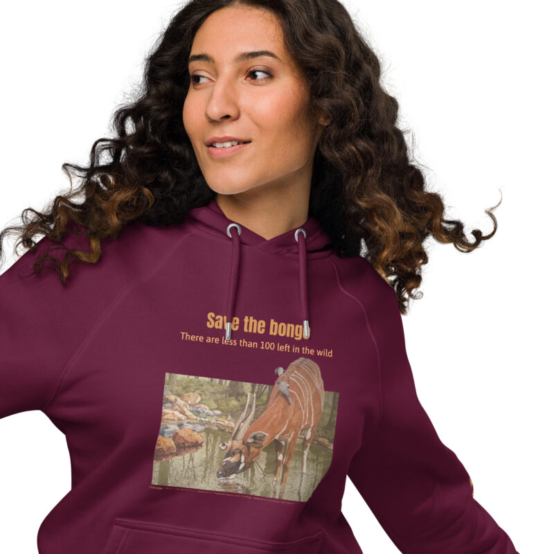 Unisex eco raglan hoodie, Save the bongo - Image 5