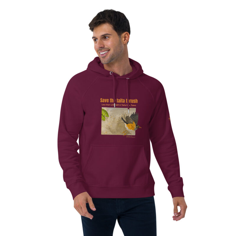 Unisex eco raglan hoodie, Save the Taita thrush - Image 11