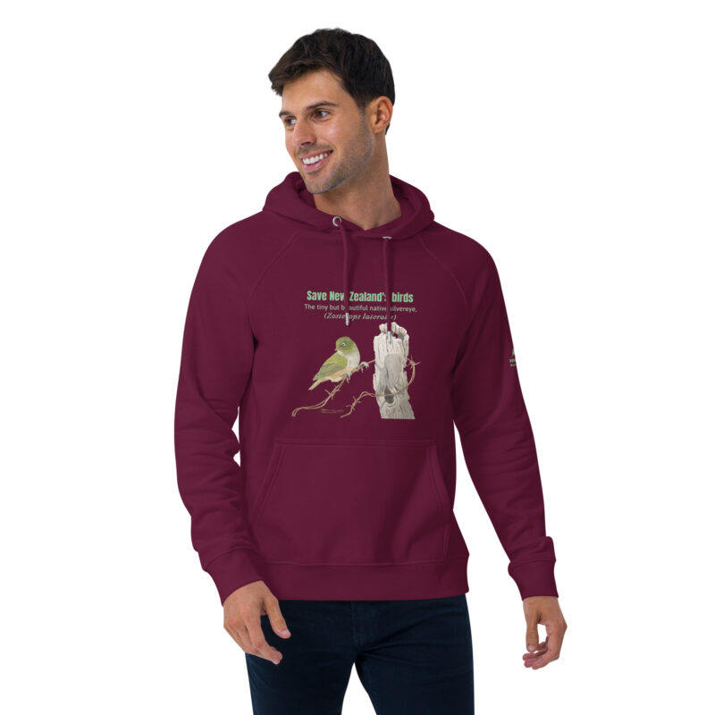 Unisex eco raglan hoodie, save New Zealand's birds (waxeye) - Image 23