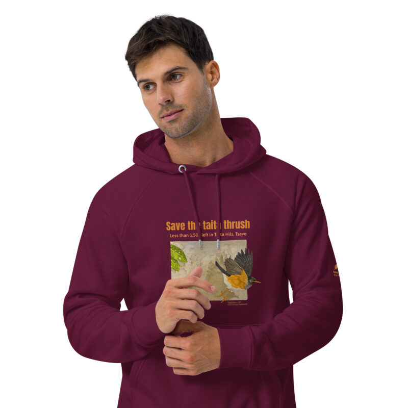 Unisex eco raglan hoodie, Save the Taita thrush - Image 12