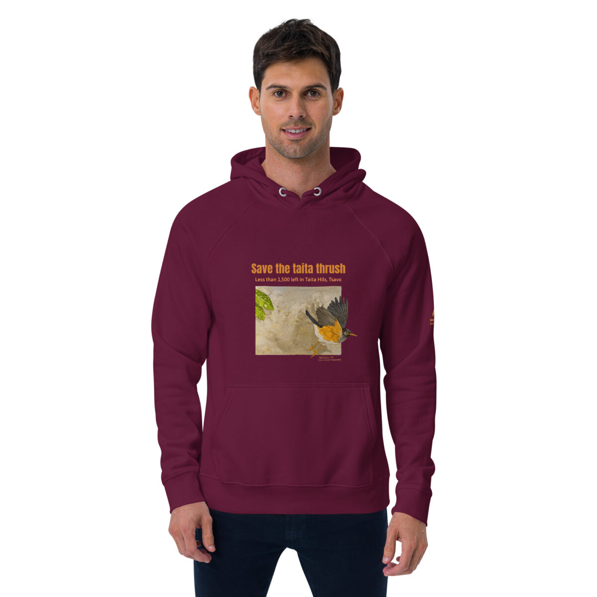 Unisex eco raglan hoodie, Save the Taita thrush - Image 10