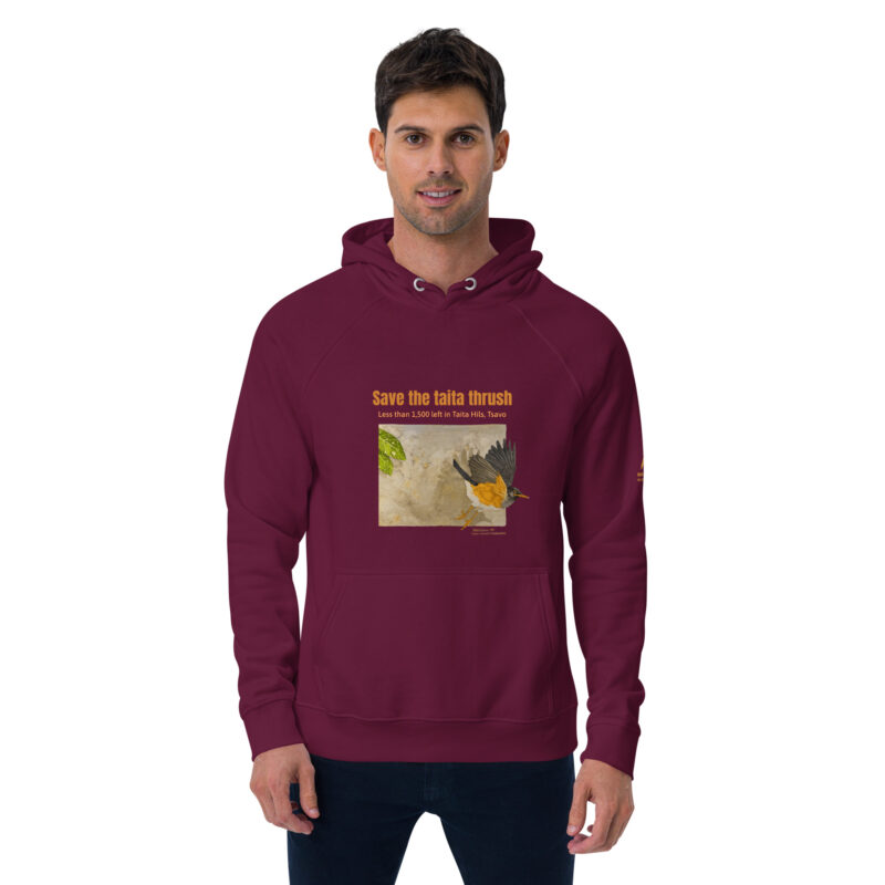 Unisex eco raglan hoodie, Save the Taita thrush - Image 10