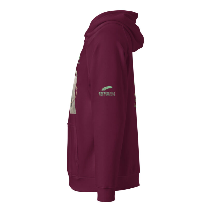 Unisex eco raglan hoodie, save New Zealand's birds (waxeye) - Image 5