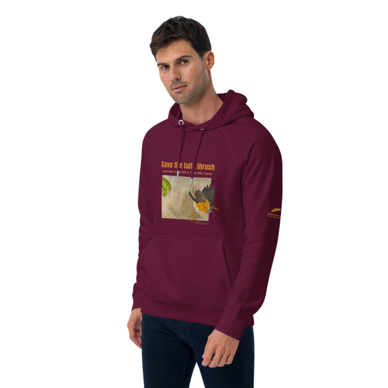 Unisex eco raglan hoodie, Save the Taita thrush - Image 16