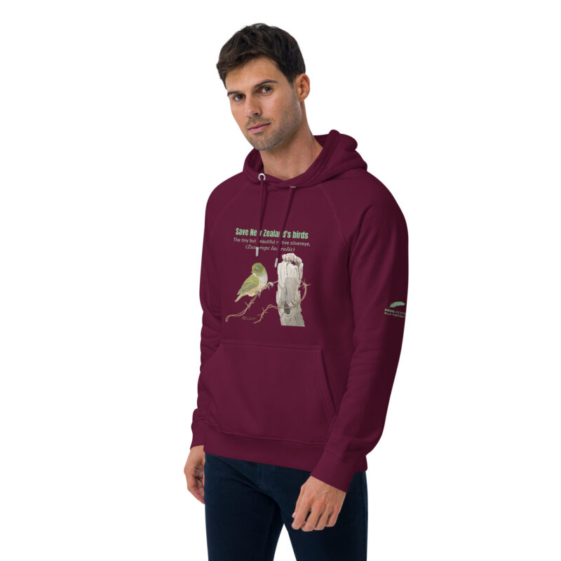 Unisex eco raglan hoodie, save New Zealand's birds (waxeye) - Image 28