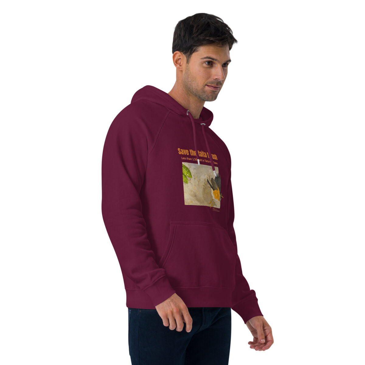 Unisex eco raglan hoodie, Save the Taita thrush - Image 18