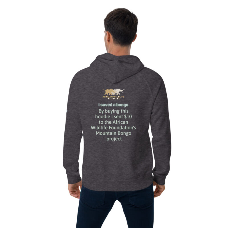 Unisex eco raglan hoodie, save the bongo - Image 14