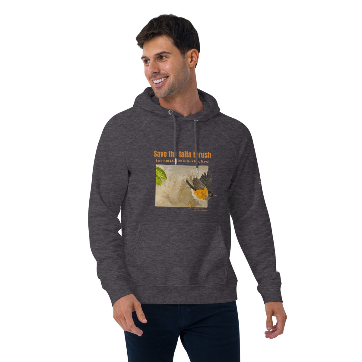Unisex eco raglan hoodie, Save the Taita thrush - Image 20