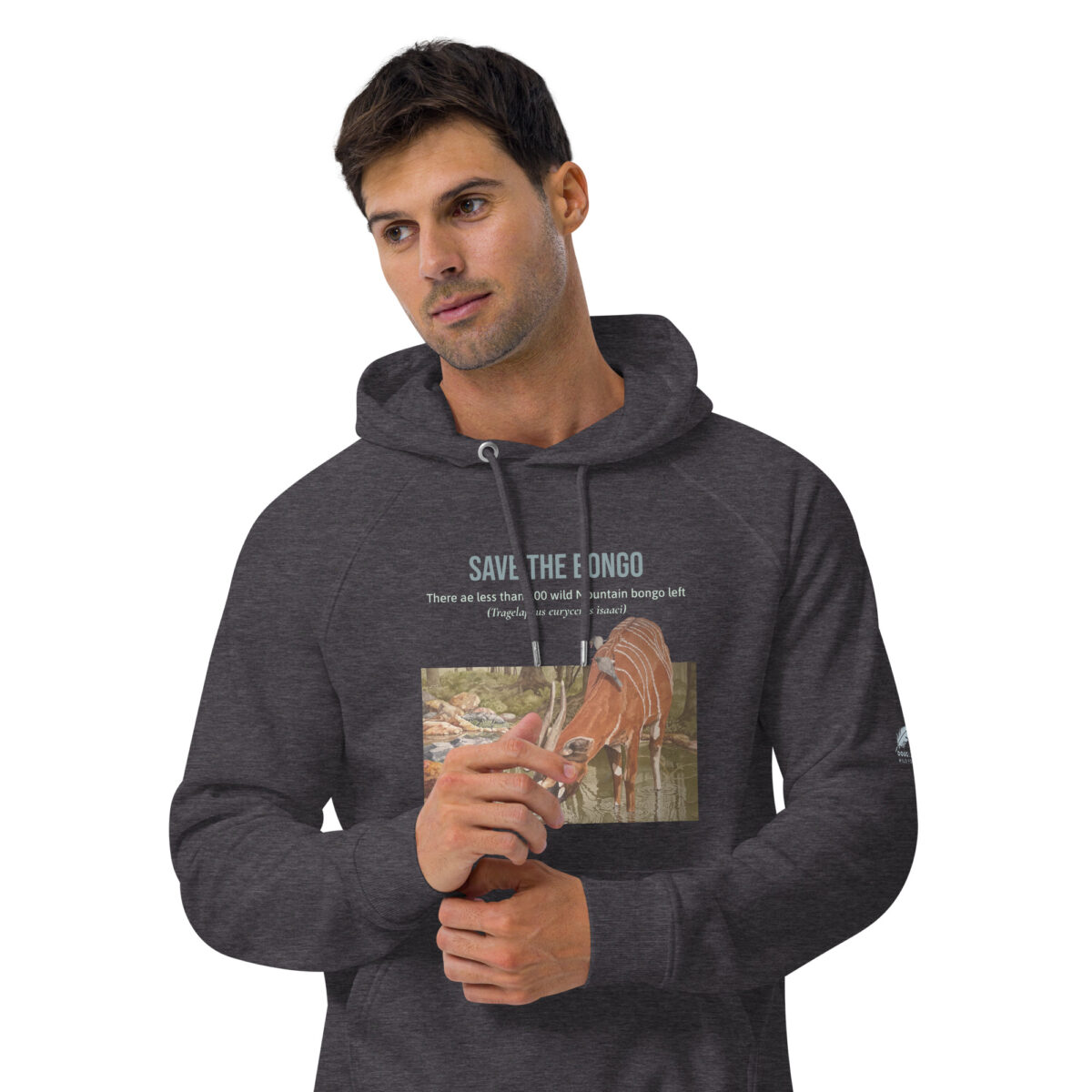 Unisex eco raglan hoodie, save the bongo - Image 12