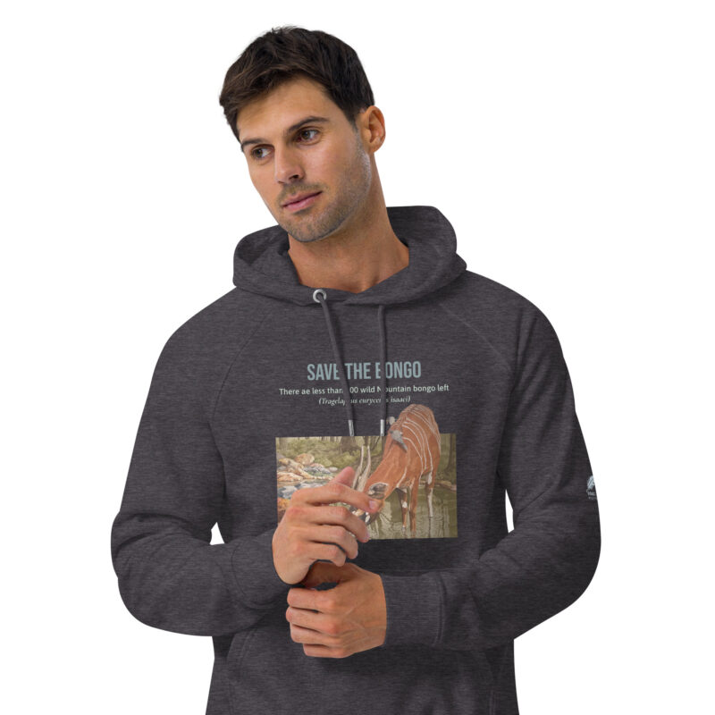 Unisex eco raglan hoodie, save the bongo - Image 12