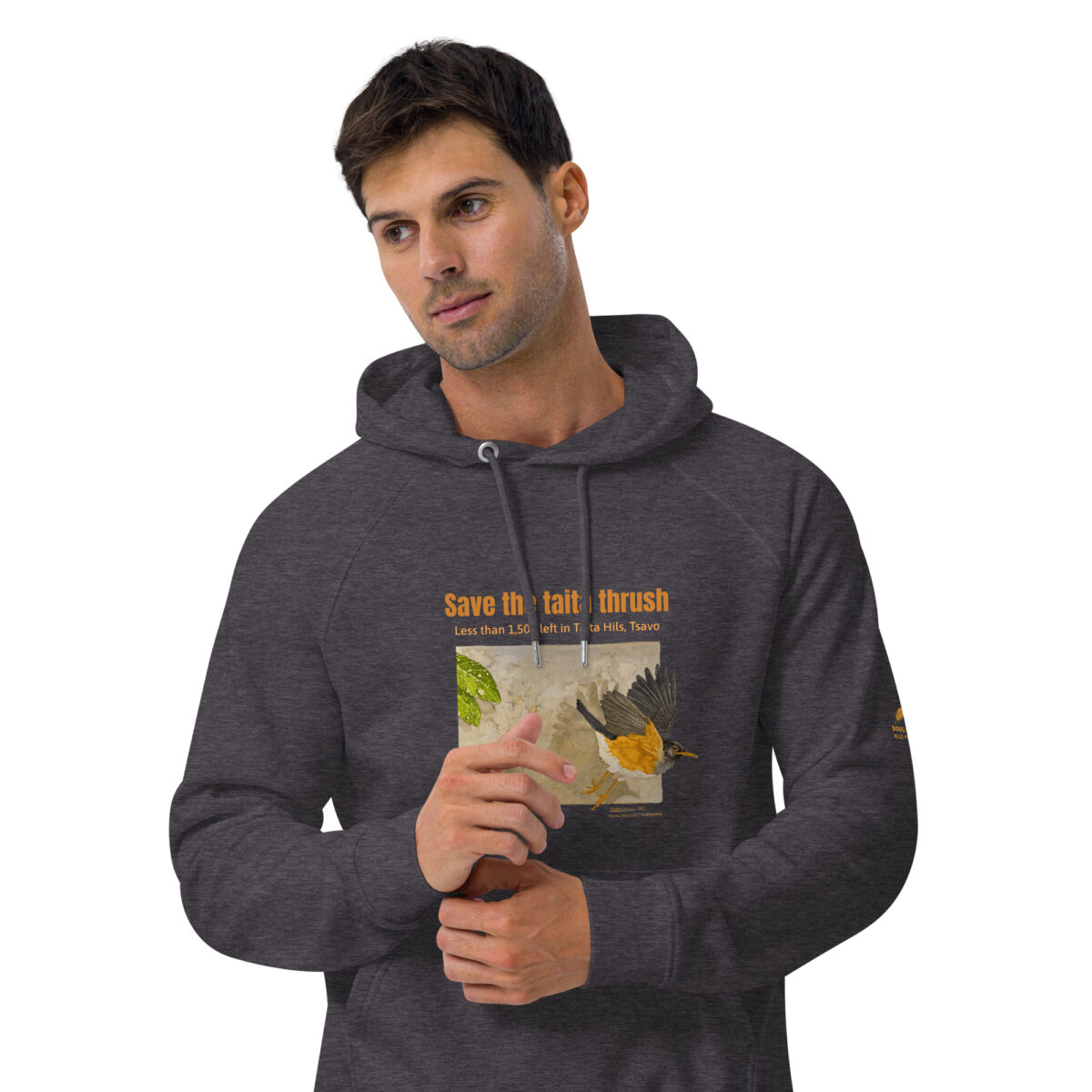 Unisex eco raglan hoodie, Save the Taita thrush - Image 21