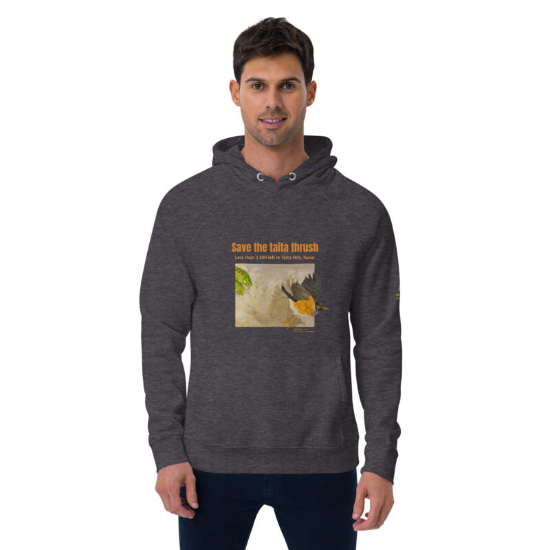 Unisex eco raglan hoodie, Save the Taita thrush - Image 19