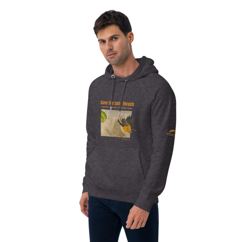 Unisex eco raglan hoodie, Save the Taita thrush - Image 25