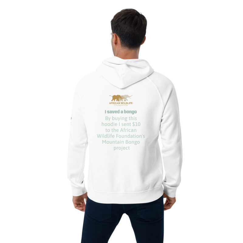 Unisex eco raglan hoodie, save the bongo - Image 32