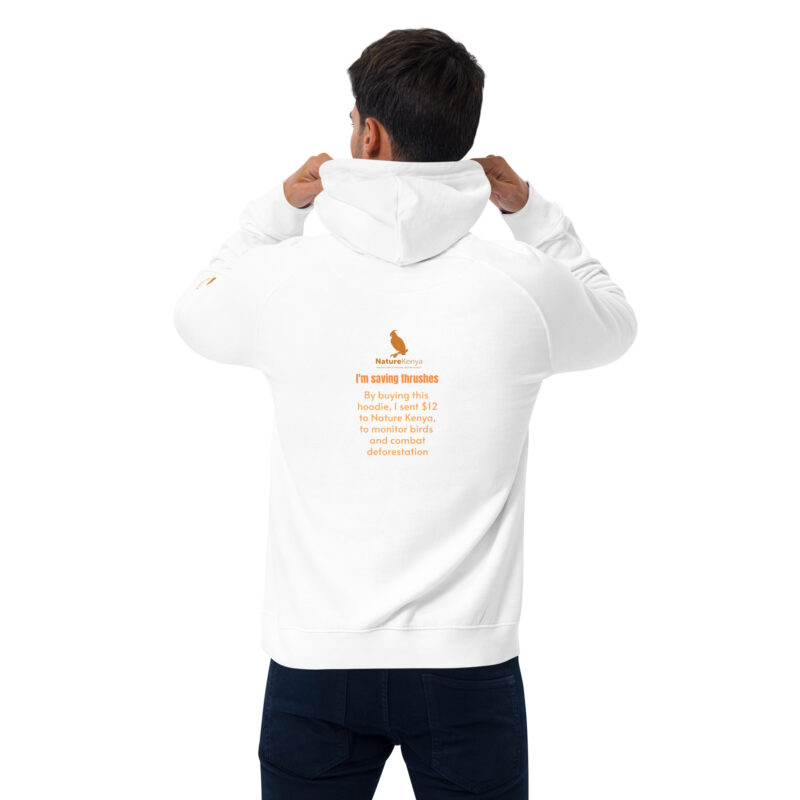 Unisex eco raglan hoodie, Save the Taita thrush - Image 31