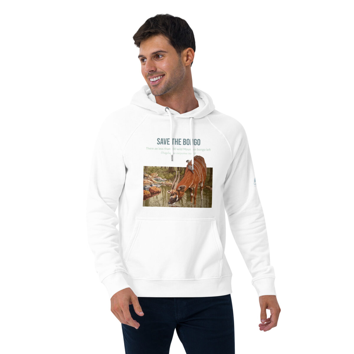 Unisex eco raglan hoodie, save the bongo - Image 29