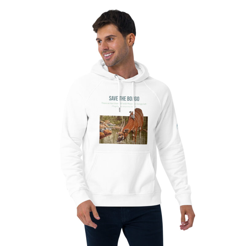 Unisex eco raglan hoodie, save the bongo - Image 29
