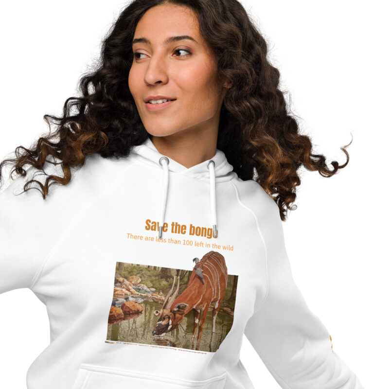 Unisex eco raglan hoodie, Save the bongo - Image 11