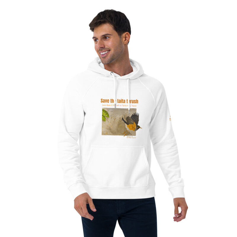 Unisex eco raglan hoodie, Save the Taita thrush - Image 29