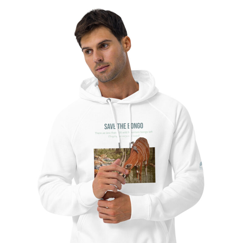Unisex eco raglan hoodie, save the bongo - Image 30