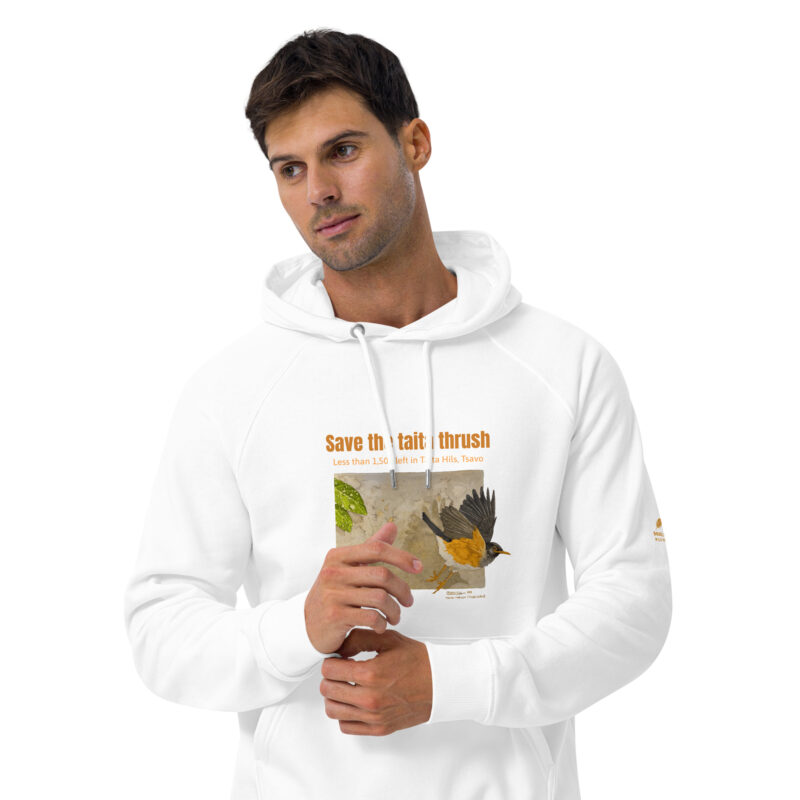 Unisex eco raglan hoodie, Save the Taita thrush - Image 30