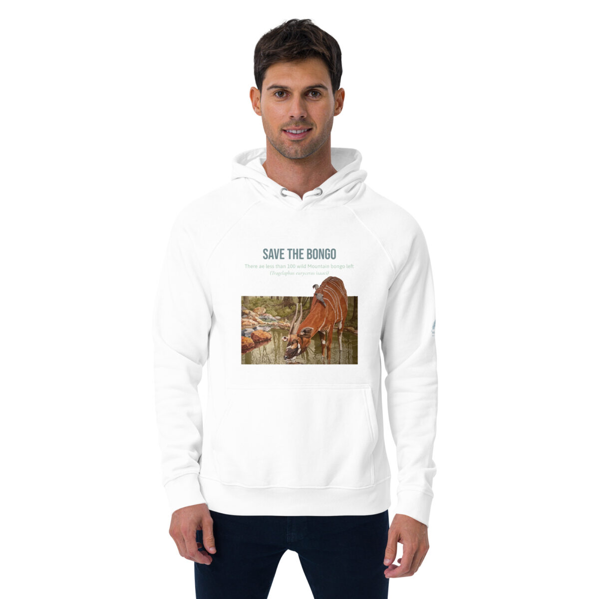 Unisex eco raglan hoodie, save the bongo - Image 28