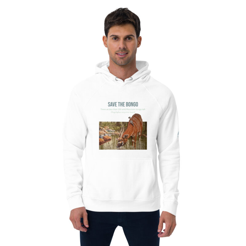 Unisex eco raglan hoodie, save the bongo - Image 28