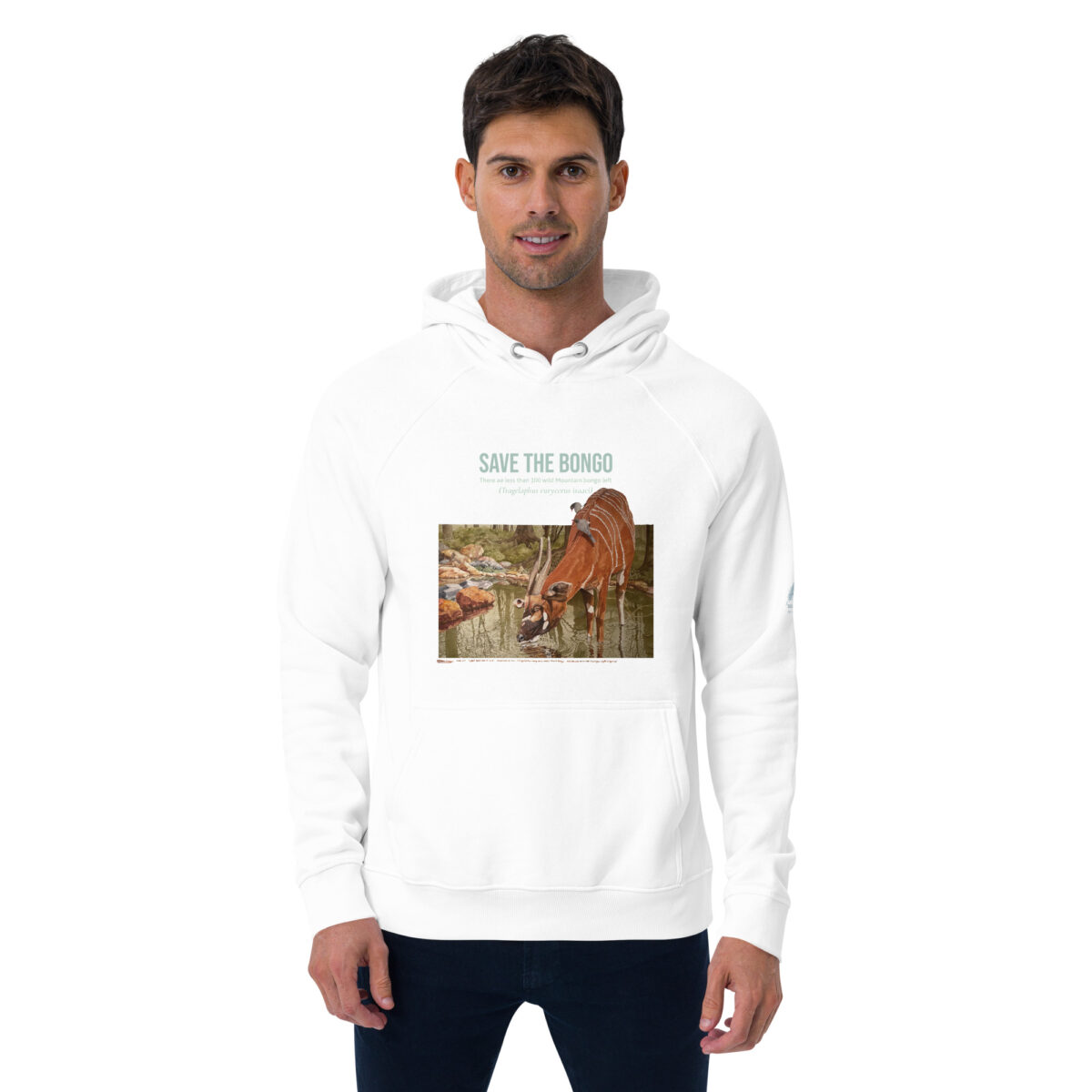 Unisex eco raglan hoodie, save the bongo - Image 37