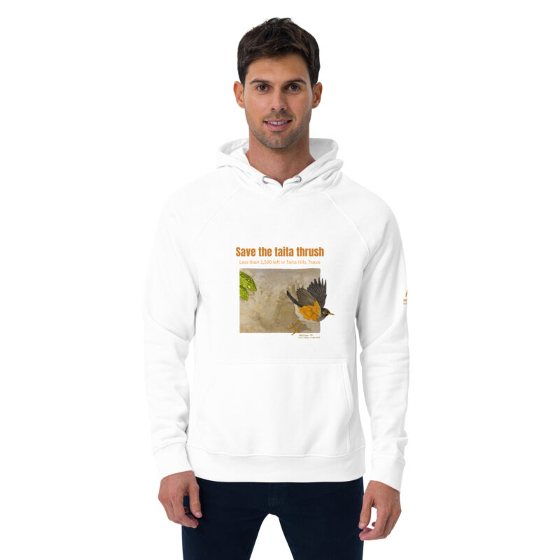 Unisex eco raglan hoodie, Save the Taita thrush - Image 28