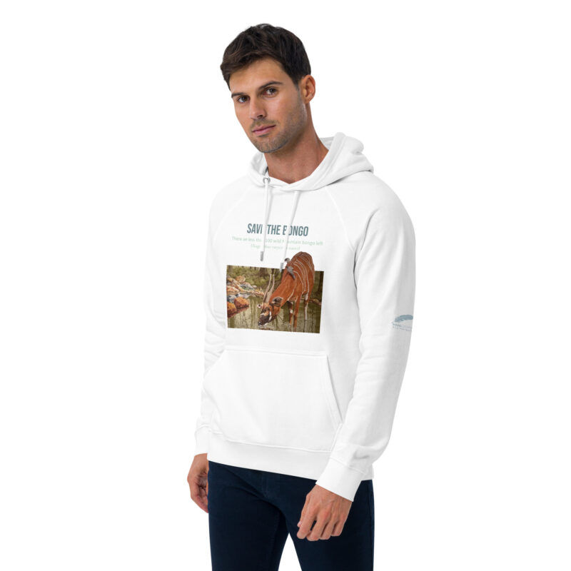 Unisex eco raglan hoodie, save the bongo - Image 34