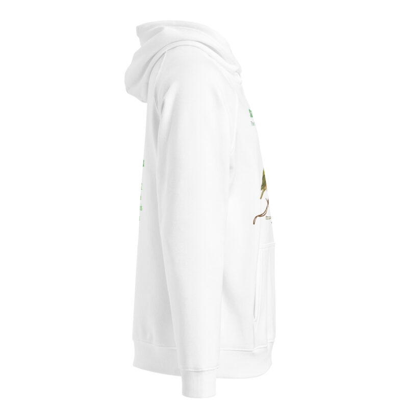 Unisex eco raglan hoodie, save New Zealand's birds (waxeye) - Image 10