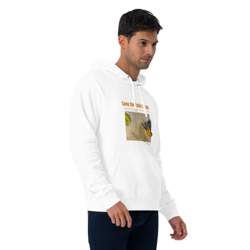 Unisex eco raglan hoodie, Save the Taita thrush - Image 36